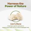 Select Lion's Mane Mushroom Tea Extract Powder Natural 8.8oz