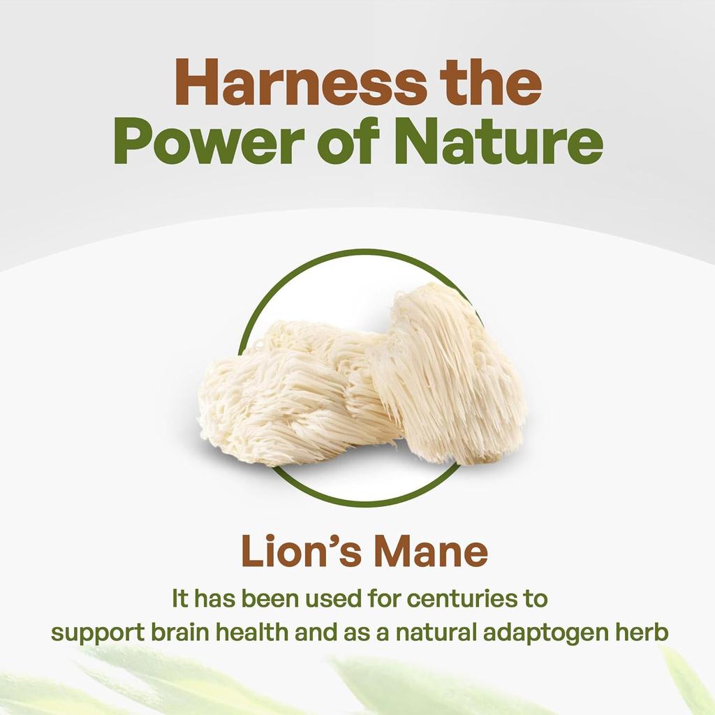Select Lion's Mane Mushroom Tea Extract Powder Natural 8.8oz