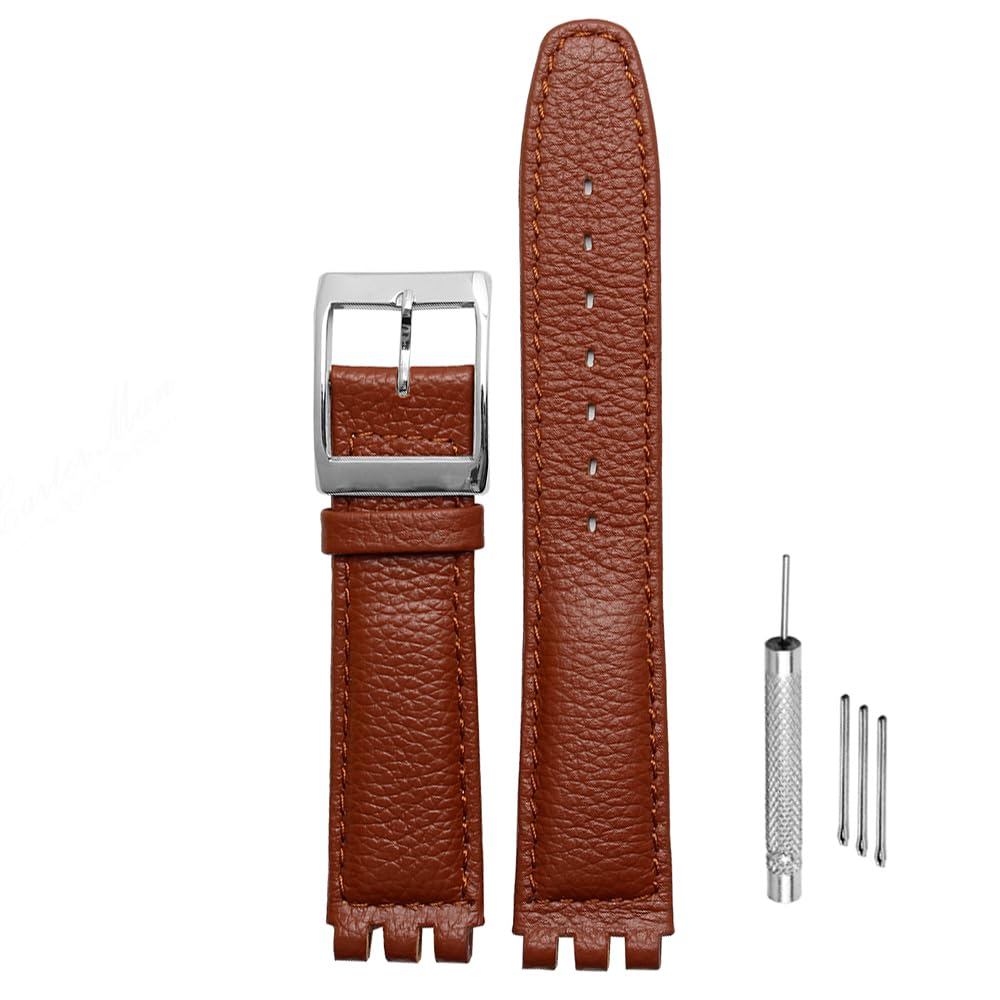ZHUOLEI Swatch Watch Includes 3 Spring Spring Bar and Box Strap, 17mm/19mm, Bars, Remover,