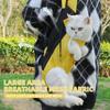 Cycling Walking Sphynx Cat Carrier For Cats Breathable Pet Backpacks Kitten Garfield Carrying Bags Mascotas Travel Accessories