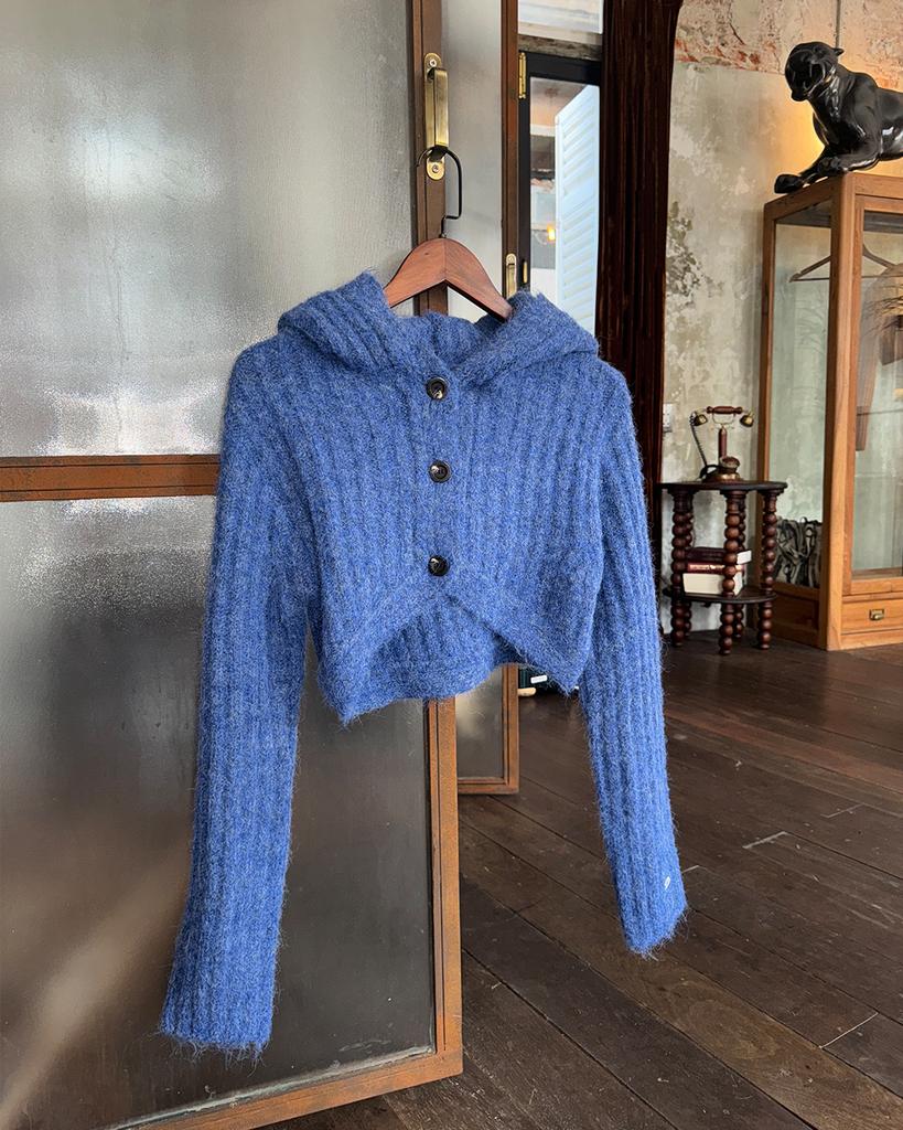 Cardigan à capuche court INSEOWL - Bleu