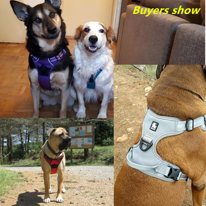 Cheap Dog Harness Truelove Reflective Nylon Service Dog Ves Padded