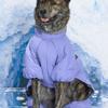 MUNIKUND Thermal Up Padding Air 2 Overall - Berry Blue