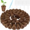 50 de bucăți bureți pentru creșterea semințelor bureți pentru creșterea rădăcinii, dopuri de pornire pentru răsaduri, pod pentru semințe, plantare hidroponică de grădină
