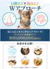 Dog Toothpaste Toothbrush Set Tartar Removal Tooth Brushing Dental Care Tartar Bad Breath Plaque Oral BowDent 20g [BowDent] All-in-One