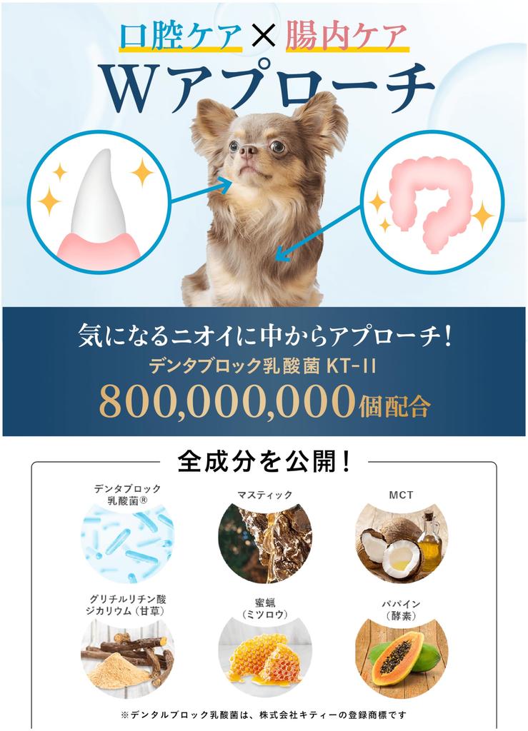 Dog Toothpaste Toothbrush Set Tartar Removal Tooth Brushing Dental Care Tartar Bad Breath Plaque Oral BowDent 20g [BowDent] All-in-One