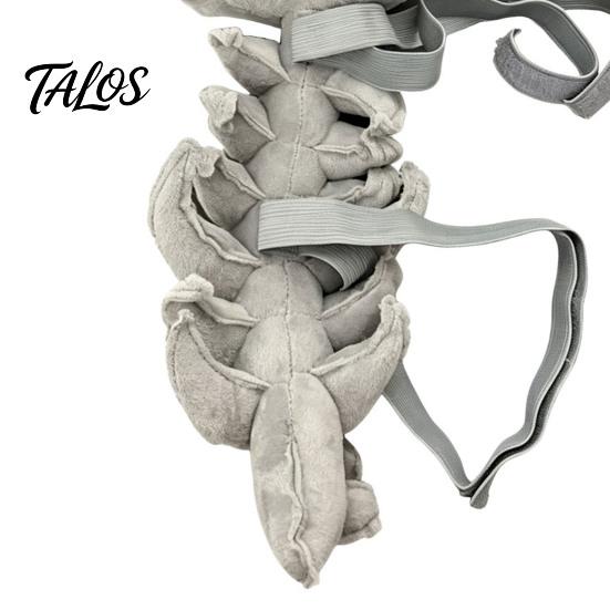 Cute Dinosaur Skull Hat for Dogs Skeleton Pet Costume, Plush Dog Cat Outfit with 3D Creative Clothing Festivals Spine And Tail, Halloween Party