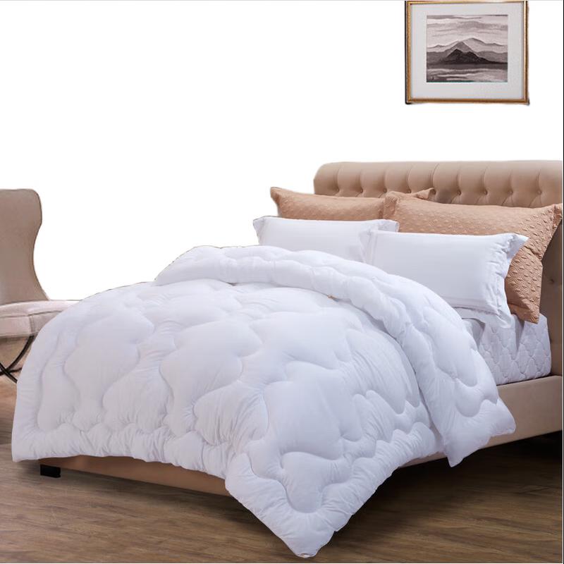 

Fuanna Warm Core Quilt