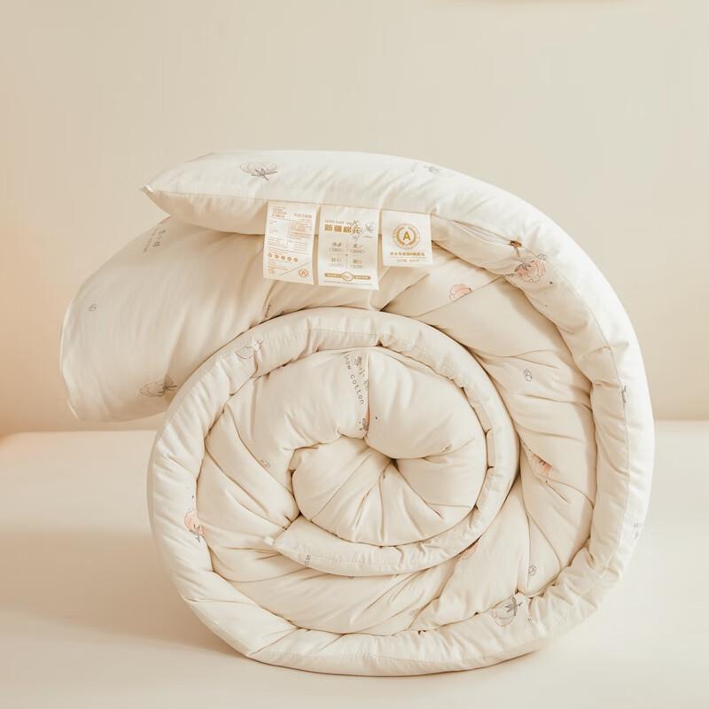 Qixiai Soft Warm All-Season Quilt