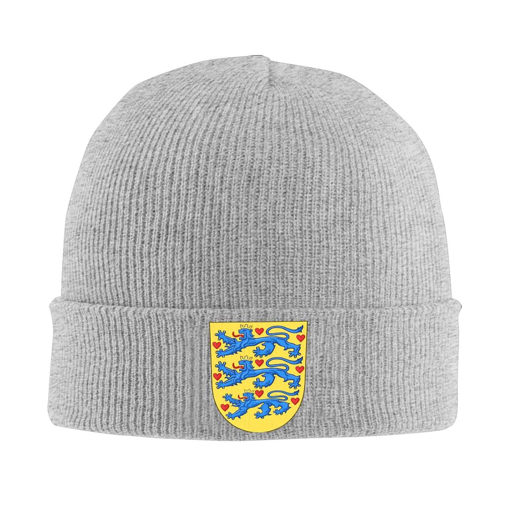 Denmark Coat of Arms Beanie Hats  Skullies Beanies Unisex Adult Funny Elastic Caps Winter Outdoor Pattern Bonnet Hats