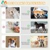 Dog Shoes for Hot Summer Pavement,Dogs Shoes,Waterproof Dog Boots & Paw Protectors,Non-Slip Dogs Rain Booties,Easy Clean Sandals