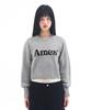 AMES-WORLDWIDE Basic Pullover Knit Gray