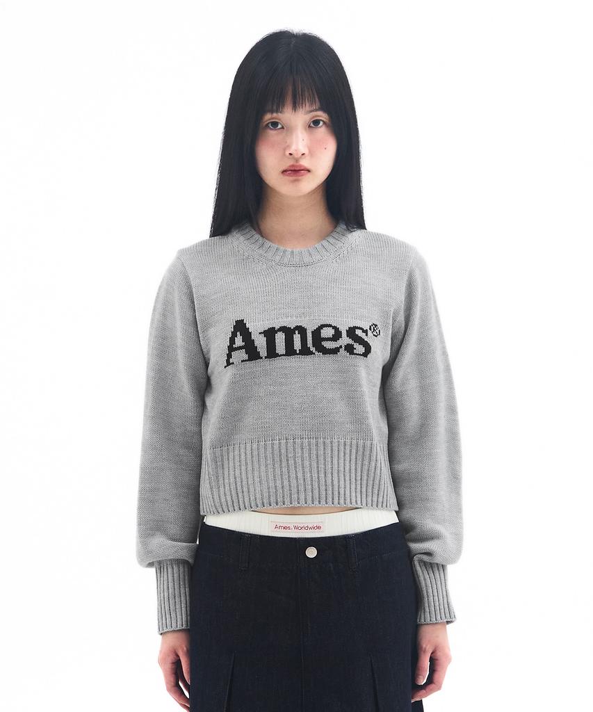 AMES-WORLDWIDE Basic Pullover Knit Gray