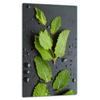 GLASS PLATE BOARD PANEL TABLETOP 30x52 LEAVES