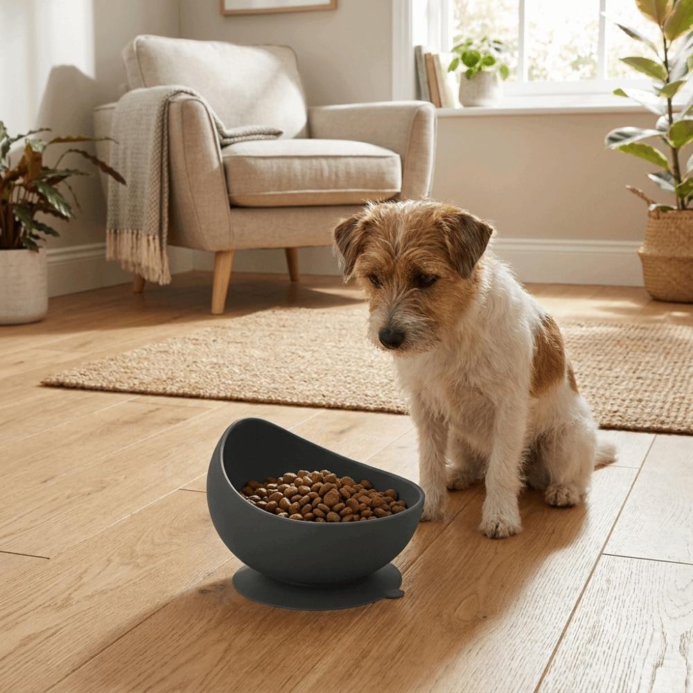 Neck Protection Silicone Pet Bowl Non-Slip Elevated Feeder Stable Dog Food Bowl Pet Dining
