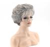 Synthetic Short Curly Women Fake Hair for Middle-aged Old Wig Silver Gray Fluffy Wigs Fashion Daily Use Party Heat Resistant Fibre Wig