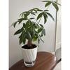 Lazy Hydroponic Flower Pot Automatic Water-Absorbing Flowerpot Transparent Double Layer Plastic Self Watering Planter Office