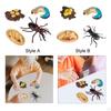 Animal Model Toy Worms Growth Cycle Ornaments Educational Set for Kindergarten Boys Children