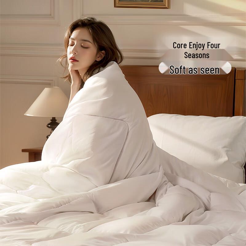 FUANNA All-Season Brushed Fiber Quilt