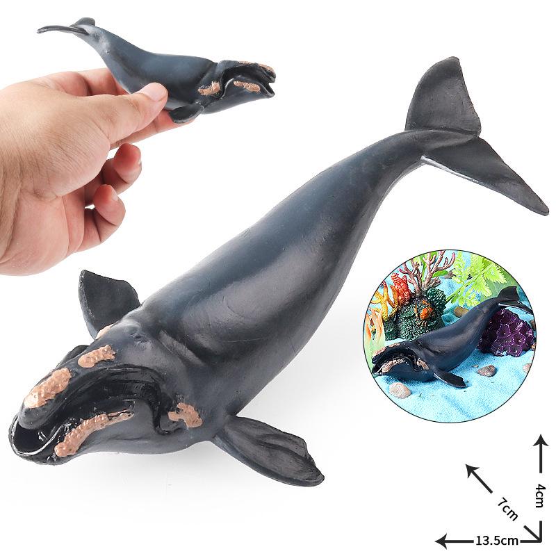 Children's Marine Animal Toy: Whale, Shark, Humpback Whale Model