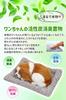 TASINO Dog Plush Toy Figurine Cavalier 26 X 18 Cm Realistic Cute Lifelike