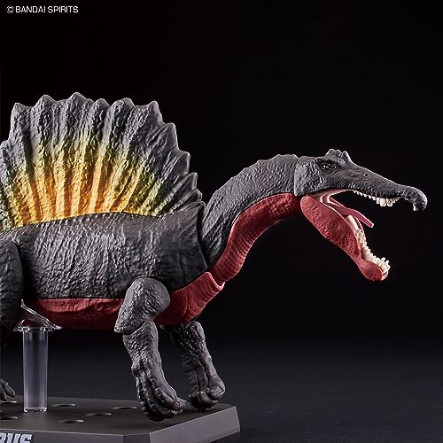 BANDAI SPIRITS Planosaurus Spinosaurus color-coded plastic model