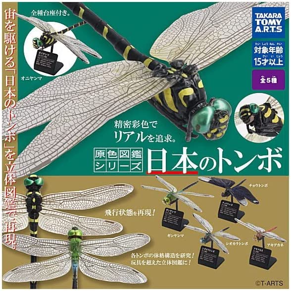 

Color Encyclopedia Japanese Dragonflies Set of Gacha Capsule Toy Series [Complete 5]