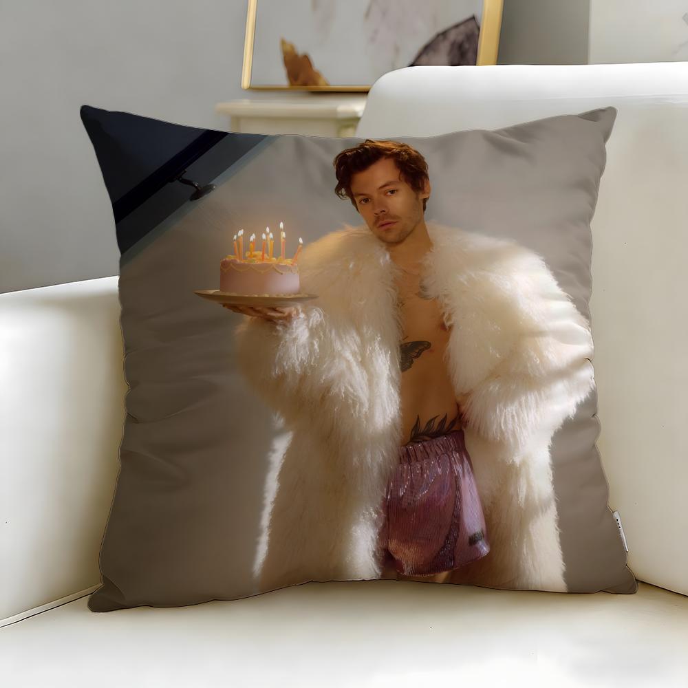 Federa Cuscino Artista Musicale Harry Styles Morbida e Facile da Lavare – Versatile Per Divano, Letto, Viaggio E Ufficio