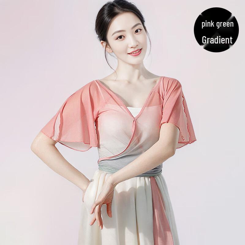 Zuoduofei Yi Wu Yi Shi Gradient Mesh Short-Sleeve Dance Top S-XL