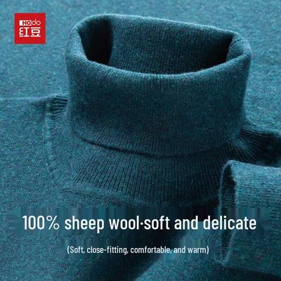 Hodo Herren 100% Wollrollkragenpullover