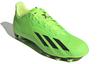 adidas X Speedportal.4 Fg 'Game Data Pack' GW8494