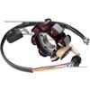 Off-road ATV/Beach Buggy Parts Coil Magneto Stator for CG 125-250cc Motorcycles