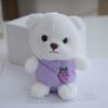 Cute Teddy Soft Bear Plushie With Pp Cotton Filling For Bag Accessories Charm