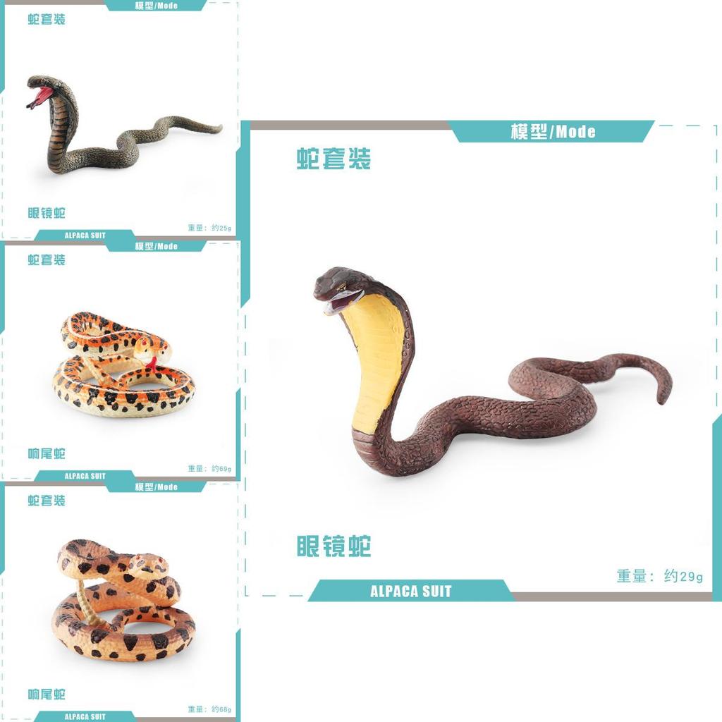 Snake Model Reptile Display Piece For Desk And Shelf Decor