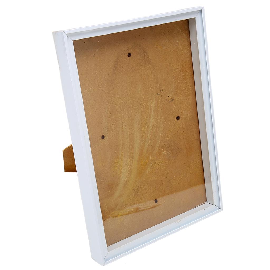 Picture Frame with Bracket Easy to Disassemble Plastic Decorative Photo Frame for Dried Flowers Shells