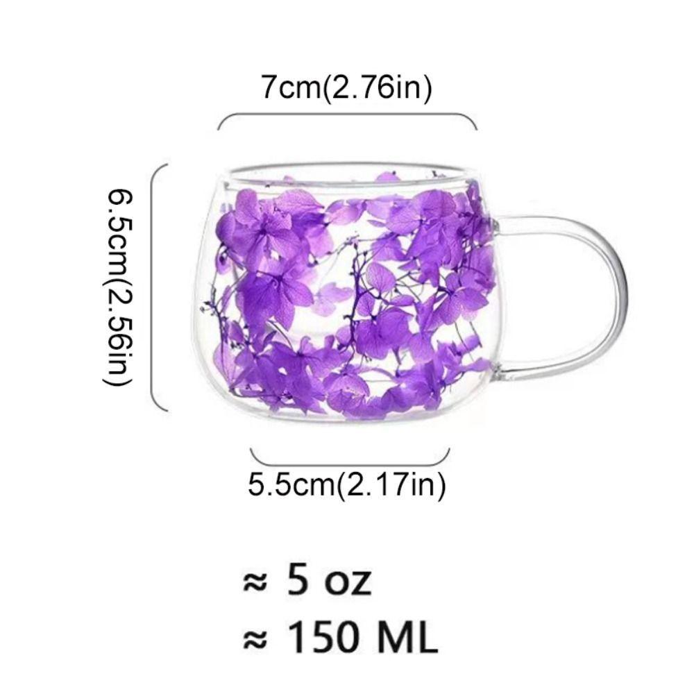 Coffee Tea Cup Dried Flower Glass Cup Milk Mug Double Insulated Double Wall Mug with Handle 150ML Clear Glass Cup Household