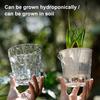 Yousheng Flowerpot PET Highly Transparent Self-Watering Planter with Glacier Pattern Double-Layer Design Breathable Inner Basin Plant