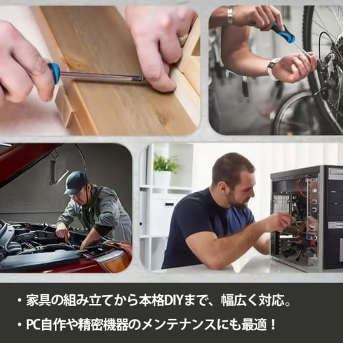 11-piece Phillips and Flathead Screwdriver Set (8 pieces) with Penetration Screwdriver, Magnetizer, and Demagnetizer