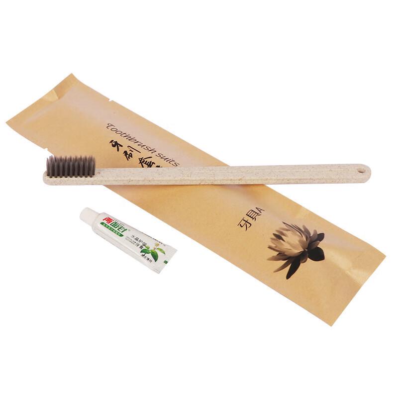 Gongtai Outdoor Travel Disposable Toothbrush Set