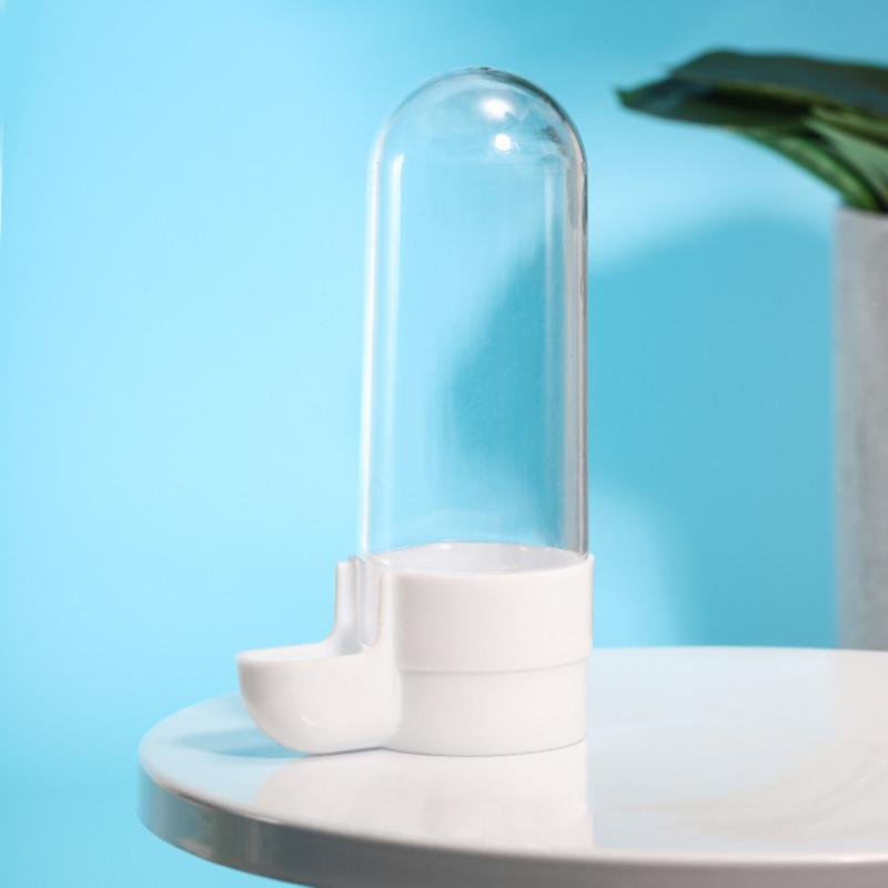 Parrot Water Dispenser Automatic Feeder Bowls Anti-splash Splash-proof Feeding Drinking Food Bowl