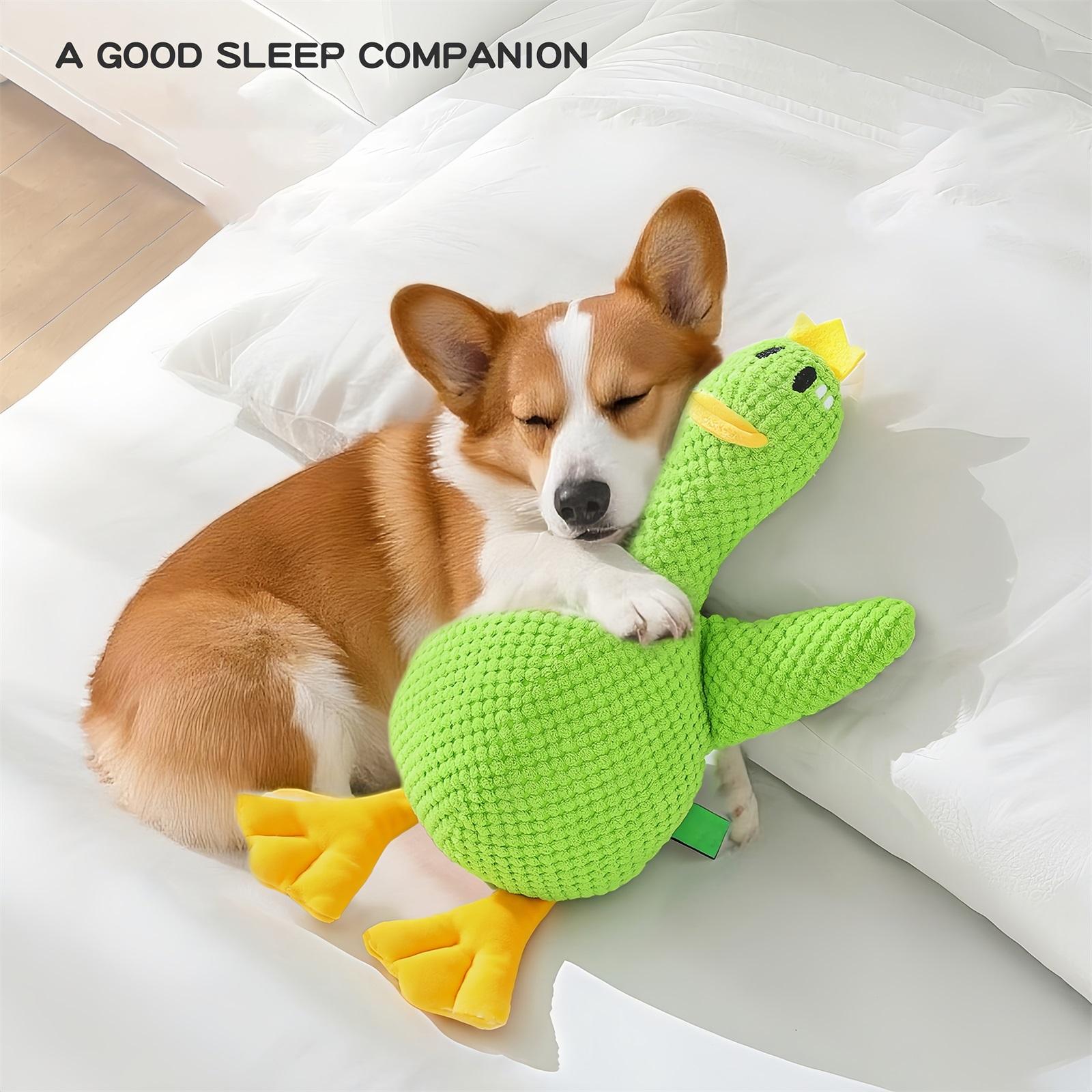 

Interactive Calming Dog Toy, Plush Squeaky Pillow With Crinkle Sound For Puppy Teething, Stress Relief, Indoor Play One Size зелёный