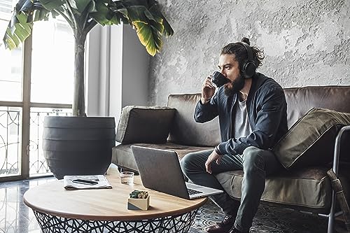 JBL TOUR ONE M2 Hybrid Noise-Canceling, Bluetooth-Enabled, Multipoint, Over-Ear Headphones, Black (JBLTOURONEM2BLK)