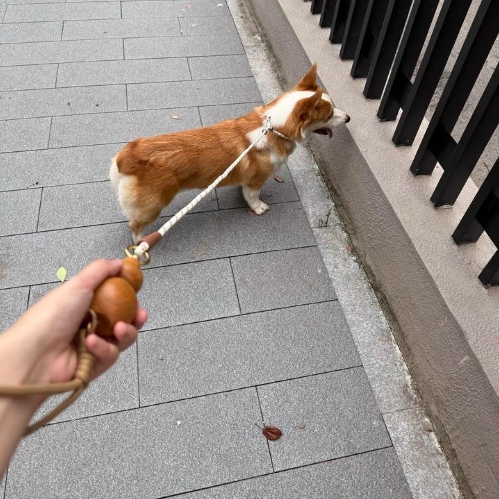 Gourd Handle Dog Leash 1.5m/1.8m Portable Anti-Slip Dog Training P-Cord Rope Explosion-Proof for Small/Medium Dogs Pet Products