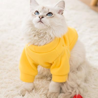 Bekleidung & Schuhe – Pullover für Hunde