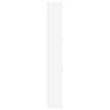 Shoe Cabinet White 59 x 17 x 108 cm Engineered Wood