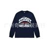 Unisex Heavyweight Cotton Long Sleeve Crewneck Sweatshirt Casual Wear Oversized Fit 300-350gsm