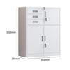 Laicai Office Filing Cabinet with Drawers