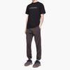 adidas Calabasas Track Pant Umber Men Bottoms Brown Core EA1901