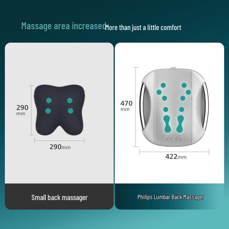 Philips Lumbar and Back Massager