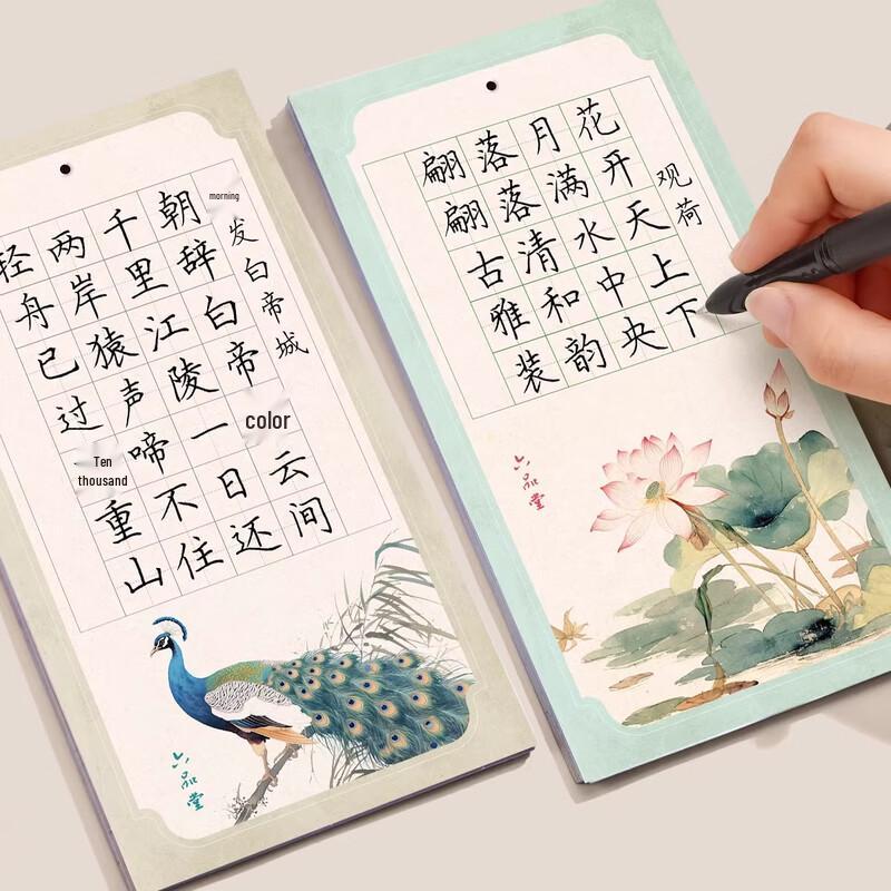 Liupintang Hard Pen Calligraphy Artwork Paper